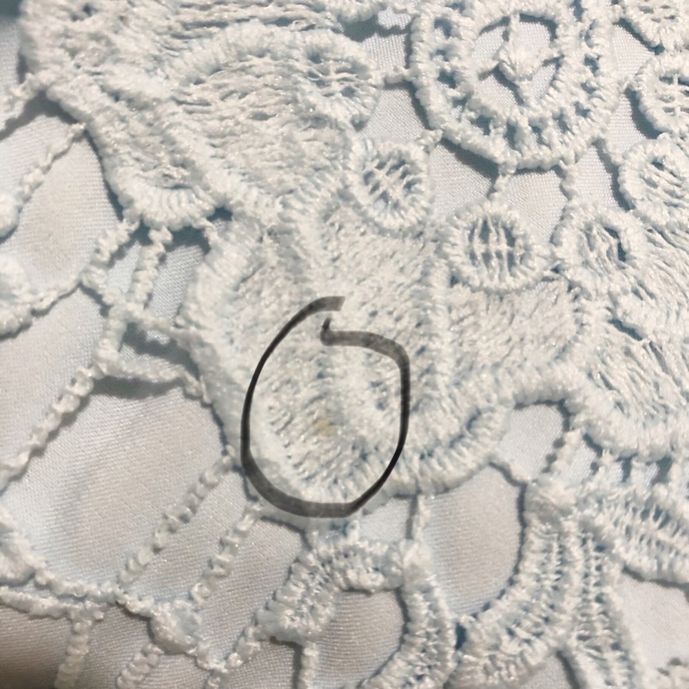 Ted Baker Dixa Layered Lace Skater Dress - Picture 14 of 15